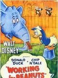 Affiche du court métrage Working for Peanuts (1953) de Jack Hannah. Voir Working for Peanuts en streaming / torrent sur meilleurs-films.fr