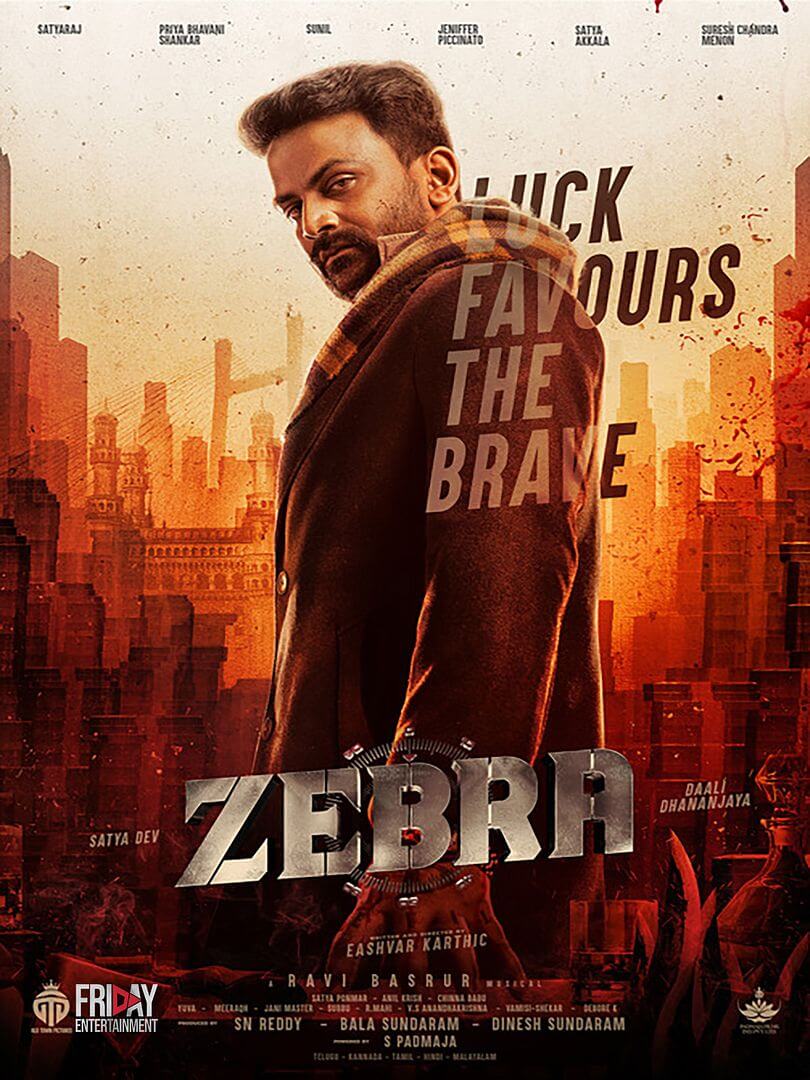 Affiche du film Zebra (2024) de Eashvar Karthic. Voir Zebra en streaming / torrent sur meilleurs-films.fr